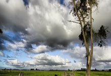 天涯十大神贴盘点，年度网帖天花板何在！（81字）